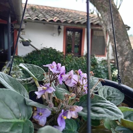 Hotel Boutique Casabella Coatepec  Exterior foto