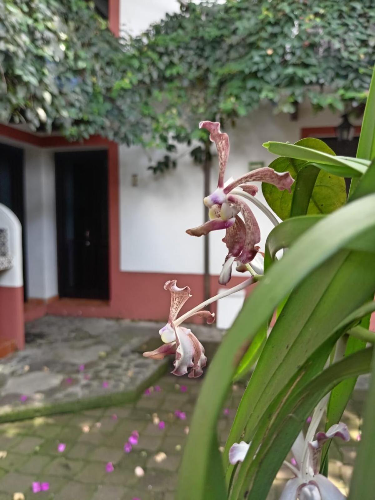 Hotel Boutique Casabella Coatepec  Exterior foto