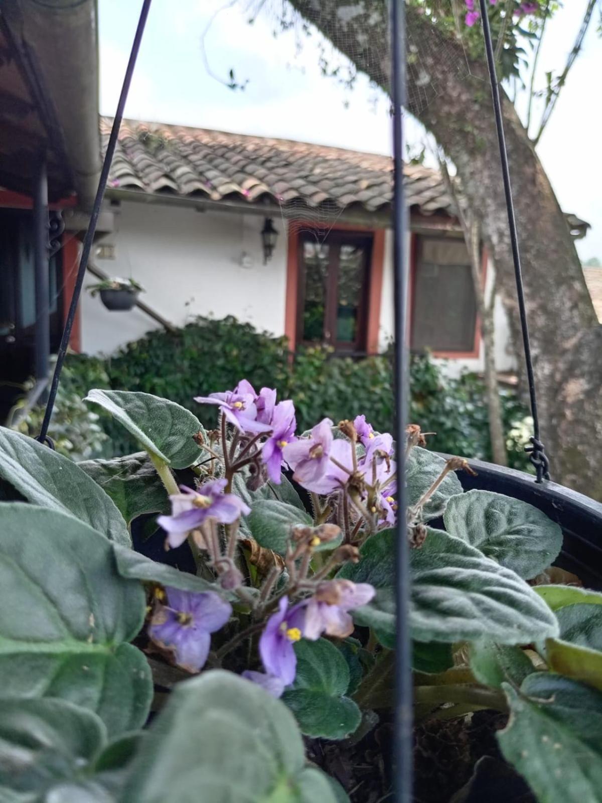 Hotel Boutique Casabella Coatepec  Exterior foto
